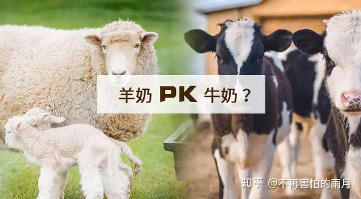 补硒和钙哪个营养好