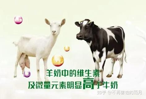 补硒和钙哪个营养好