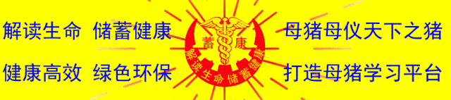 仔猪补硒在什么时间