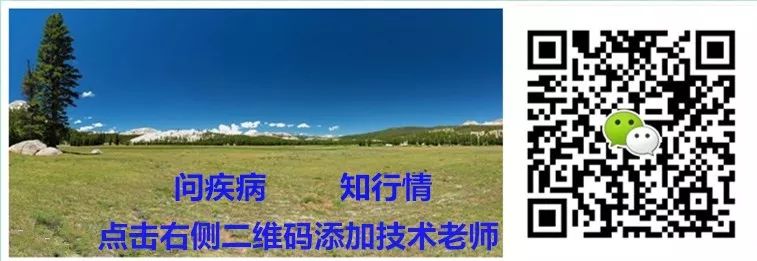 仔猪补硒在什么时间