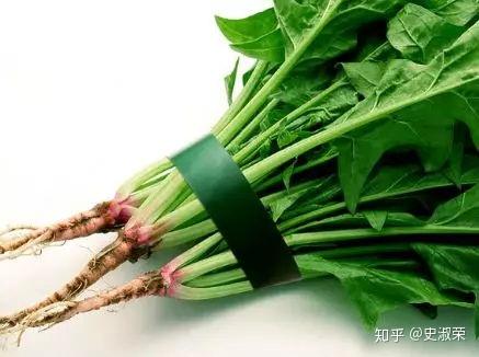 吃菠菜能补铁吗