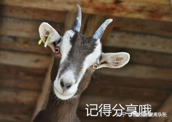 骨头汤是补硒的食物
