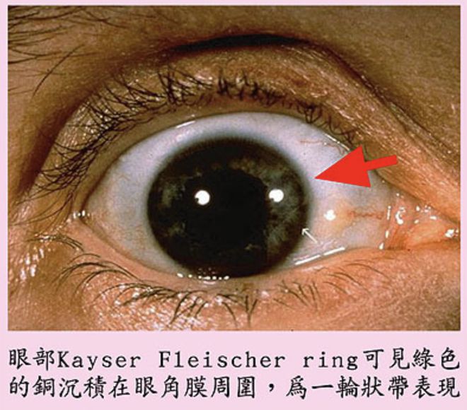 微量元素表口诀