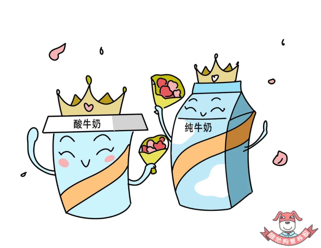 喝酸奶补钙还是喝纯奶补钙
