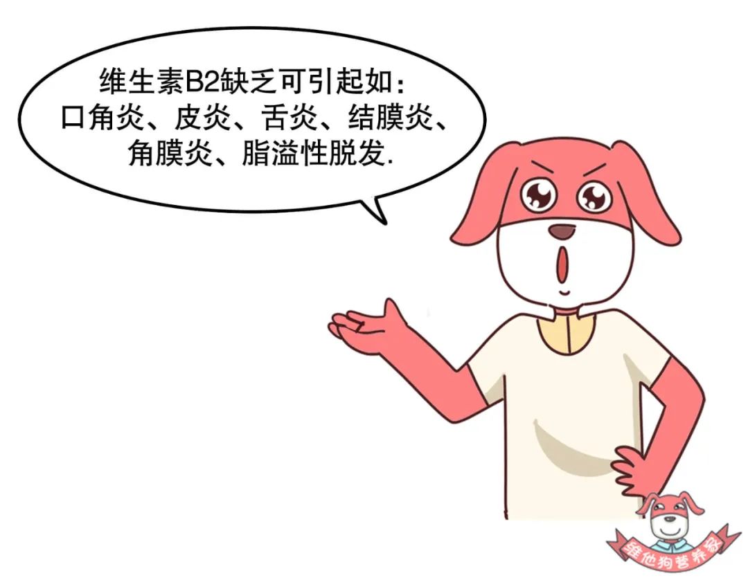 喝酸奶补钙还是喝纯奶补钙