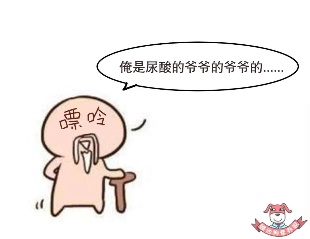 喝酸奶补钙还是喝纯奶补钙