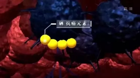成年人缺硒怎么补快