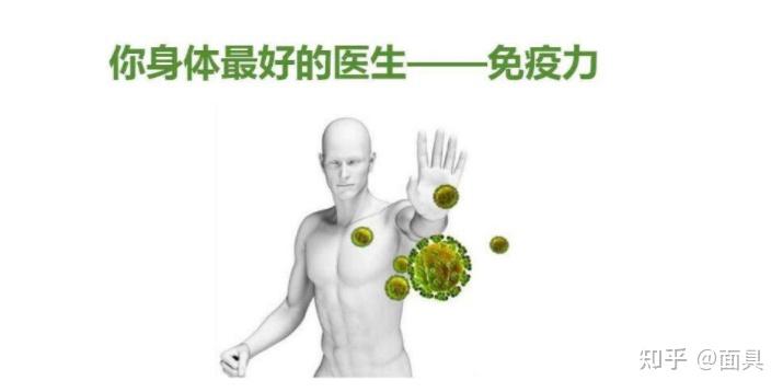 给猪补硒的药有哪些