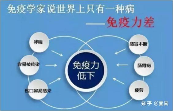 给猪补硒的药有哪些