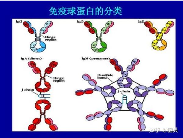 给猪补硒的药有哪些