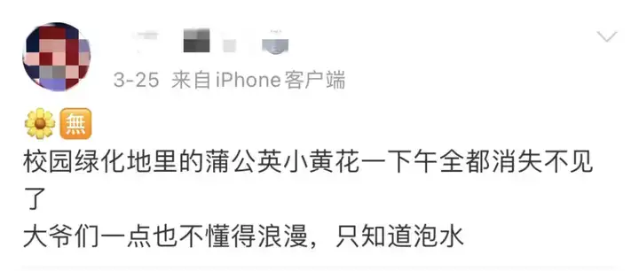 补硒可以泡西洋参吗