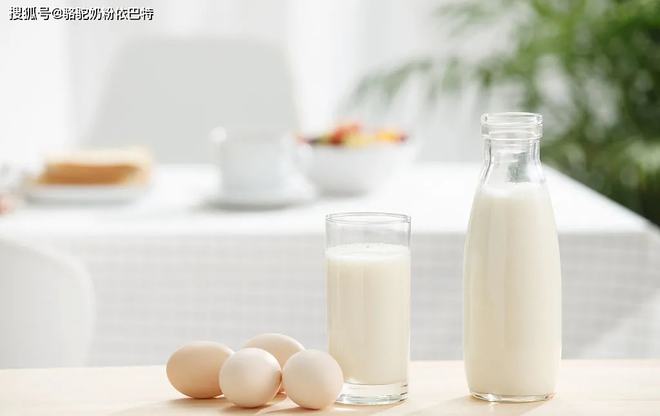 驼奶补钙吗