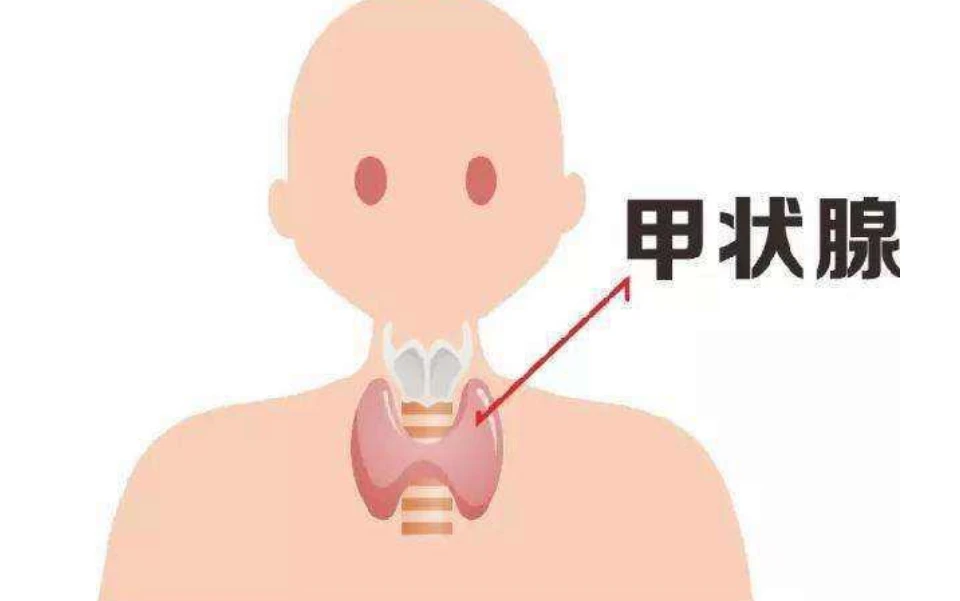 自身免疫病能补硒吗