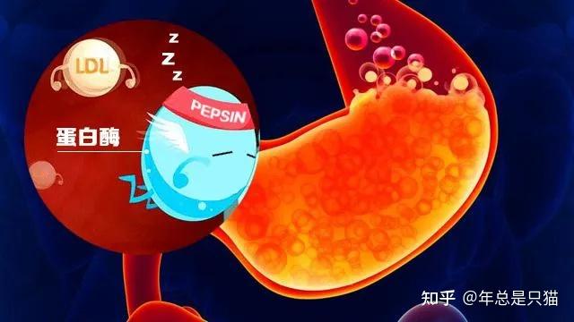 甲状腺癌补硒有用吗