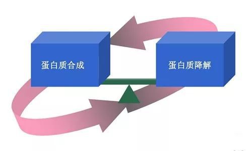 缺锰和硒要补什么钙