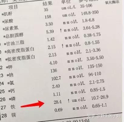 孕期几个月开始补铁