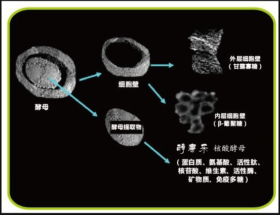 抗病毒治疗可以补硒