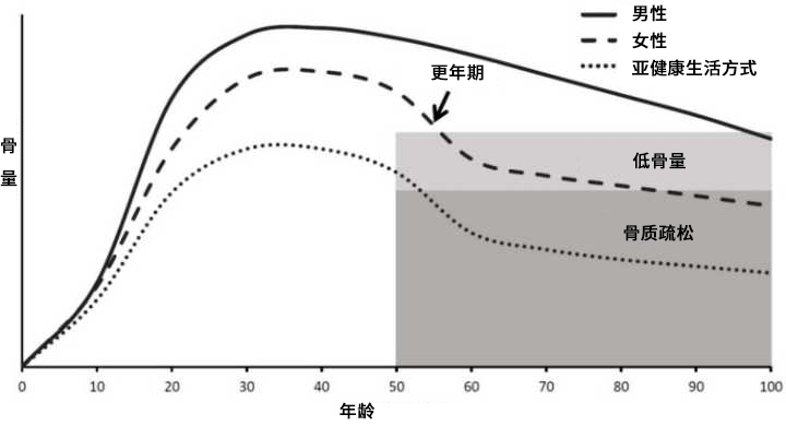 50岁补钙吃什么牌子的钙片好