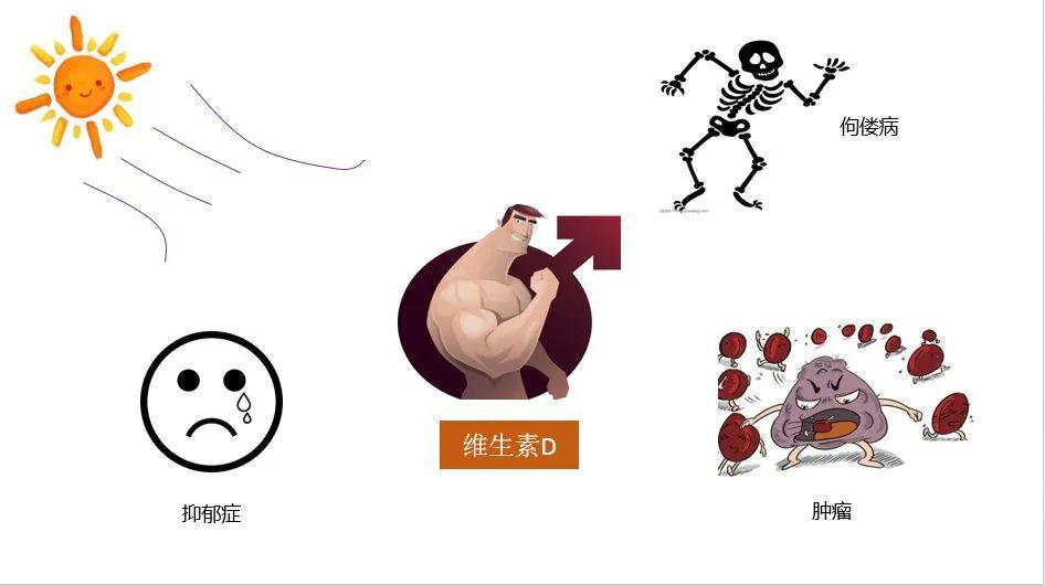身体缺微量元素怎么补