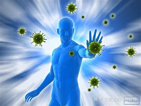 提高免疫力补硒的药