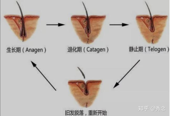 红斑狼疮能不能补硒