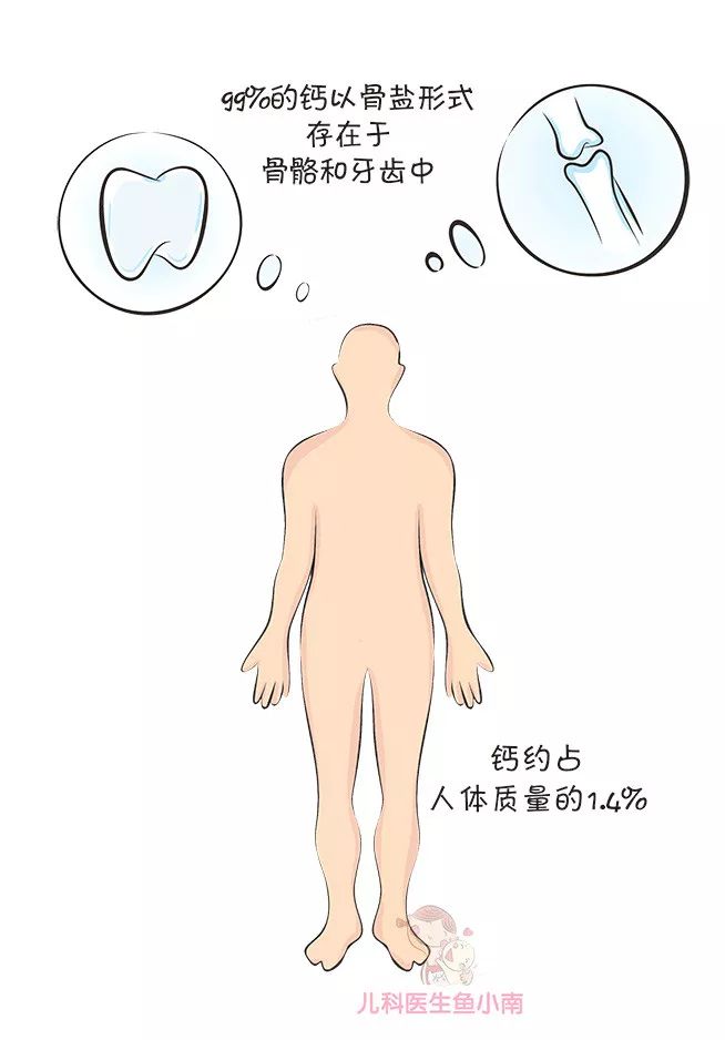 小孩不缺钙可以补钙吗