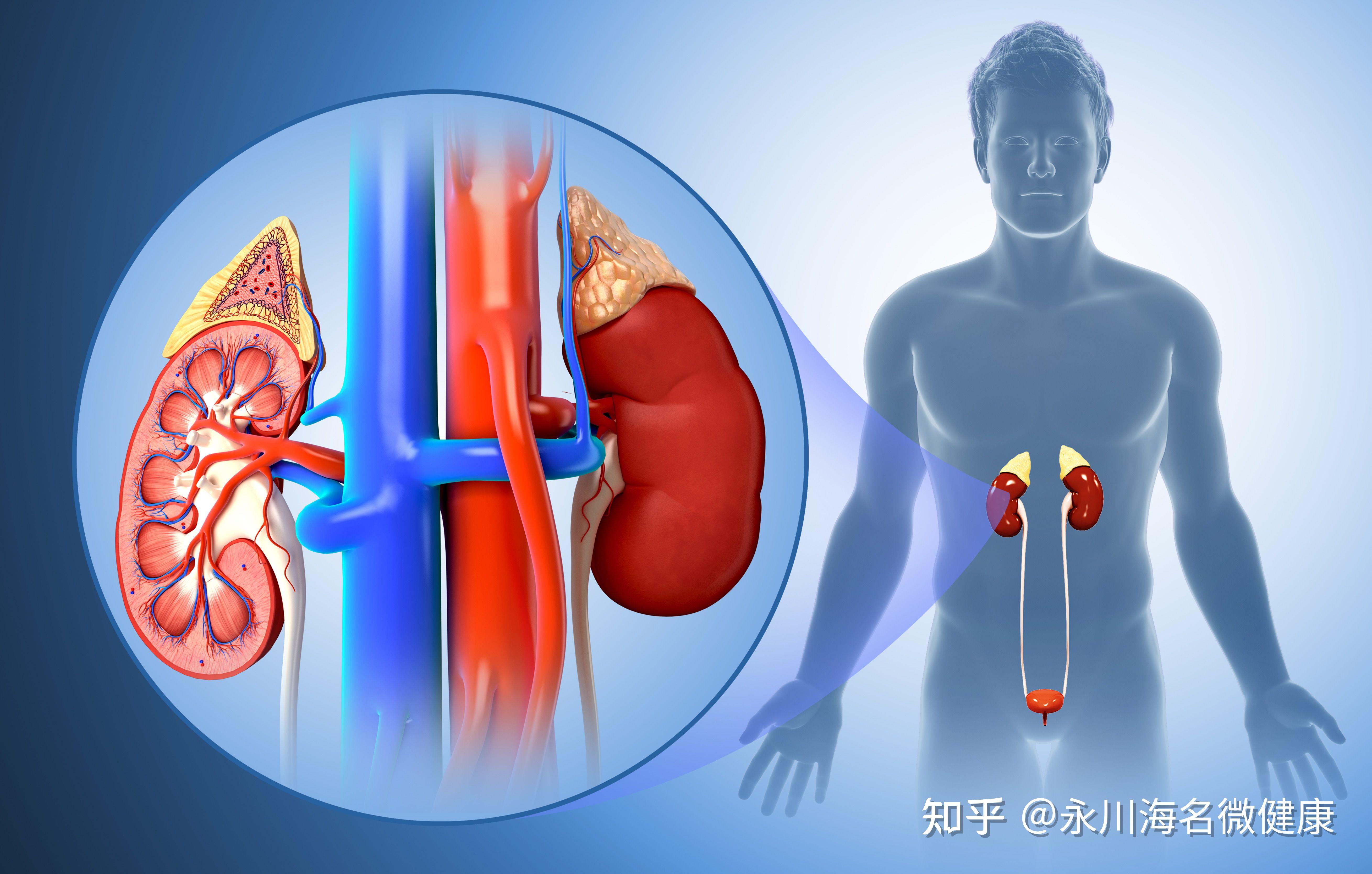 营养不良补硒可以吗