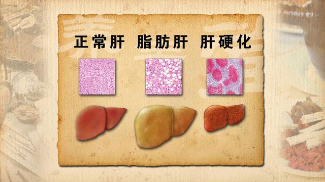 补硒对女人的重要性