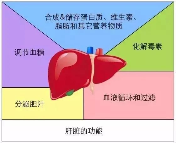 补硒对女人的重要性