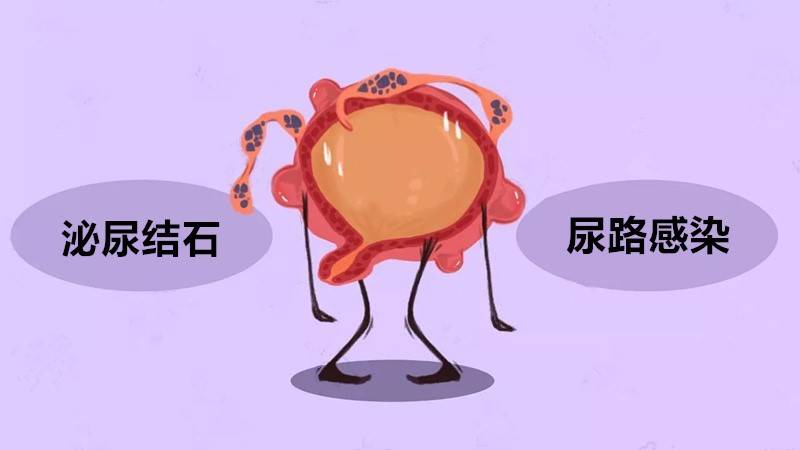 补硒排毒眼皮会肿吗