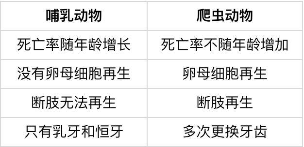 运动员为什么要补硒
