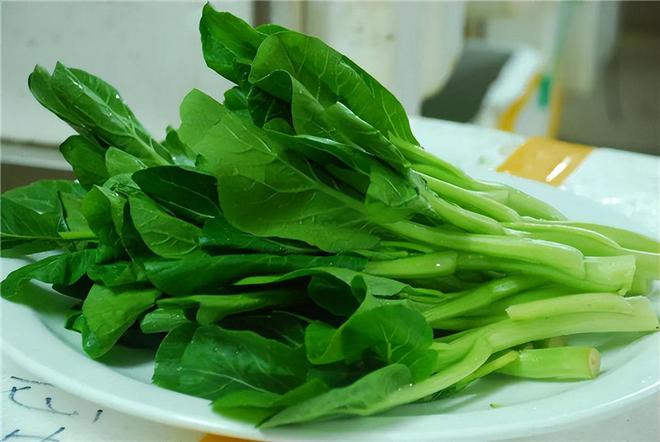 哪些食物能补钙