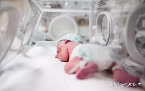 补铁是补血吗