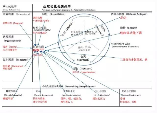 锌硒补多了会怎么样