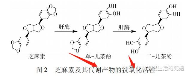 补钙喝什么牛奶