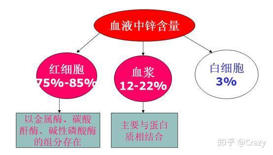 儿童检查微量元素多少钱