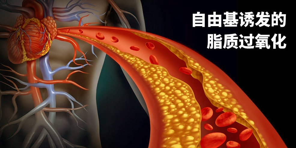 补硒可以防白血病麽
