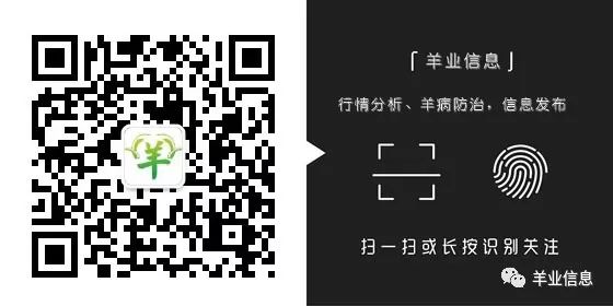 羊补硒打多了怎么办