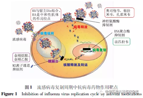 艾滋病患者补硒效果
