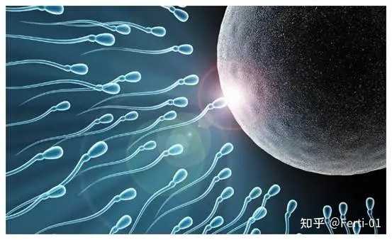 补硒锌备孕如何吃的