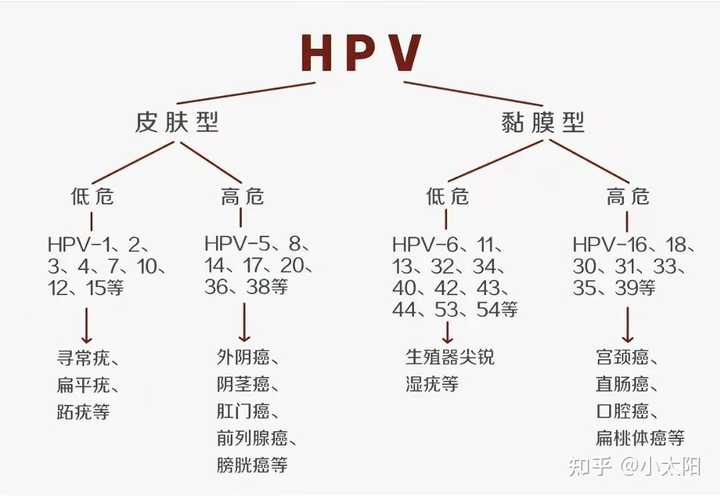 月经期补硒可以吃吗