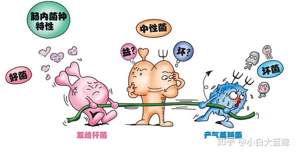 支气管哮喘能补硒吗