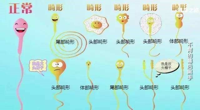 补硒可以助孕吗知乎