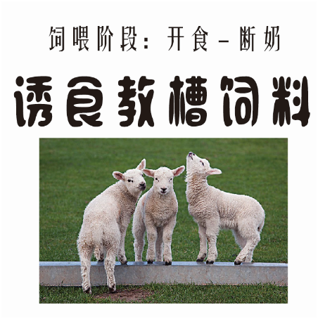 补硒维生素e有哪些