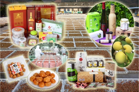 一年以上的补硒食品