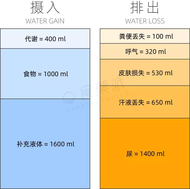 老年人可以补些硒吗