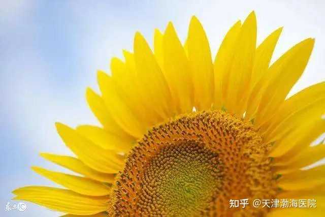 提高抵抗力补硒的药