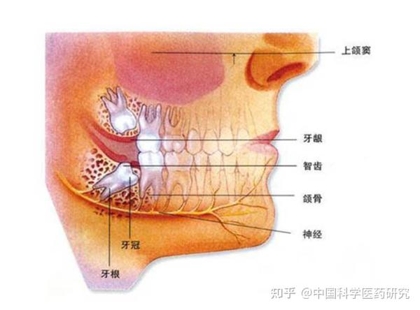 四岁孩子补钙哪种钙好