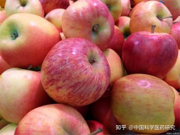 四岁孩子补钙哪种钙好