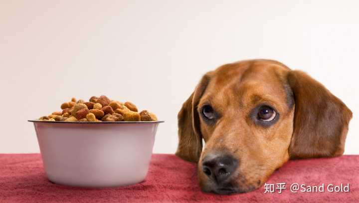 狗狗微量元素多久喂一次